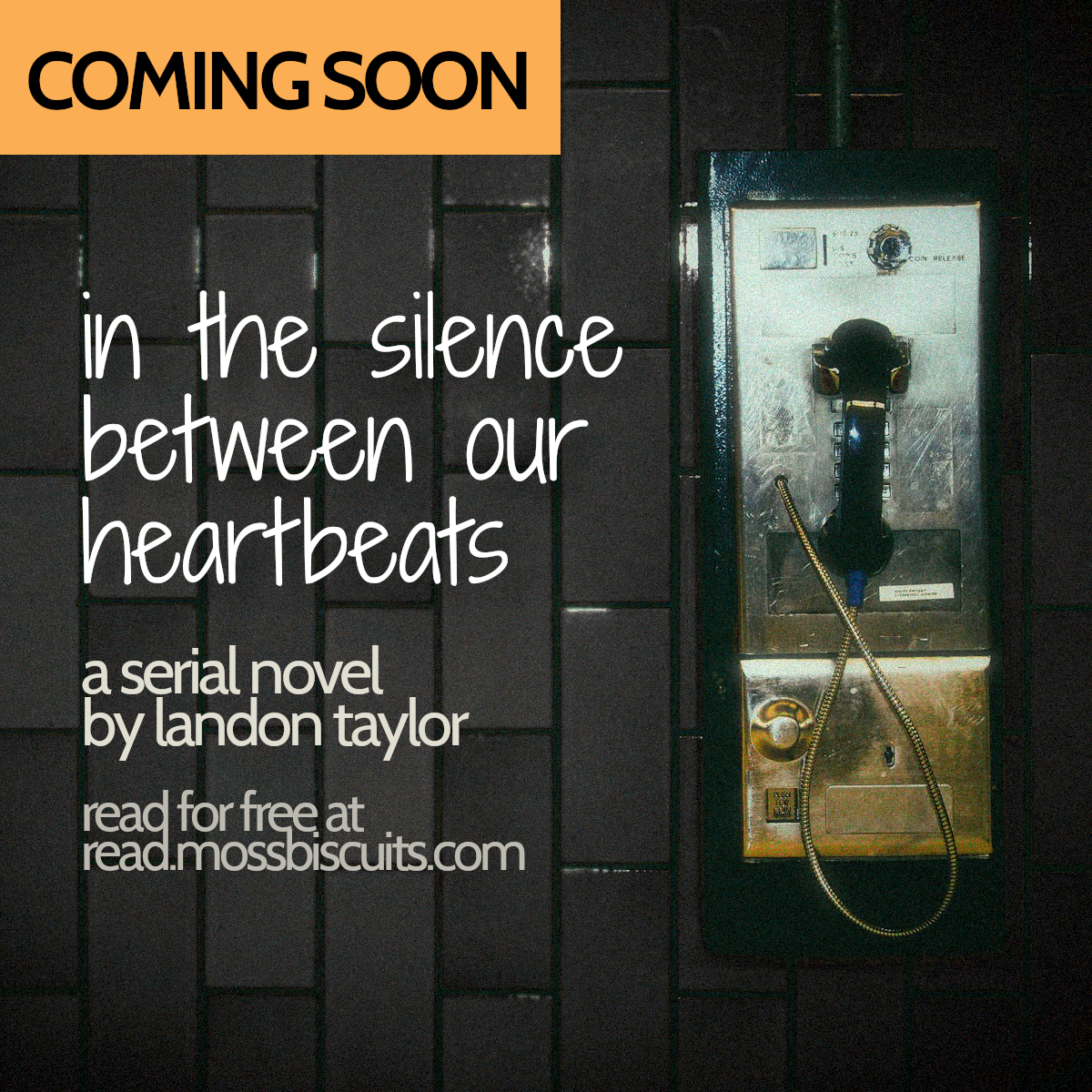 Cover for In the Silence Between Our Heartbeats